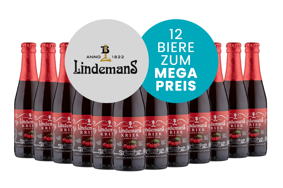Beyond Beer Craft Bier Paket Lindemans Kriek