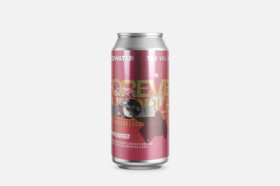 Cloudwater - Forever Chubbles (2026) (The Veil Collab)