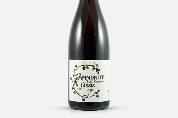 Ammonite Vendange Cassis 2021 Wild Ale