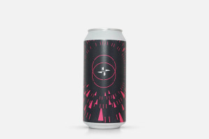 North Brewing Triple Fruited X Rise Up (Naparbier Collab) - Beyond Beer