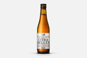 Welde Citra Helles