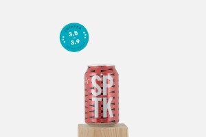 North Brewing Sputnik
