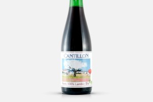 Cantillon Kriek 100% Lambic Bio (375ml) - Beyond Beer